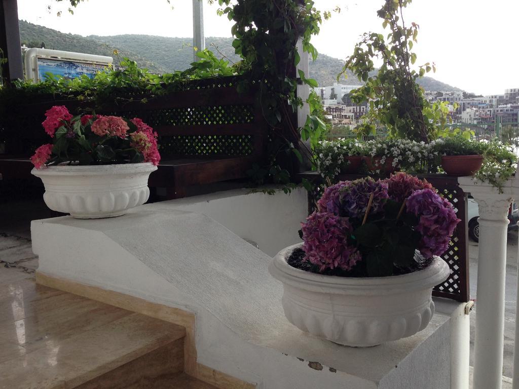 Couette-café Pasha Bodrum
